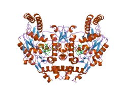 1zzr: Rat nNOS D597N/M336V double mutant with L-N(omega)-Nitroarginine-(4R)-amino-L-proline amide bound