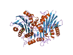 2a8j: Crystal Structure of human Taspase1 (acivated form)