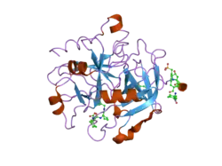 2ank: orally active thrombin inhibitors in complex with thrombin and an exosite decapeptide