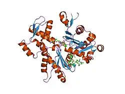 2aso: Structure of Rabbit Actin In Complex With Sphinxolide B