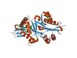 2bei: X-ray structure of thialysine n-acetyltransferase (SSAT2) from homo sapiens