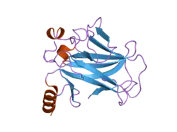 2bip: HUMAN P53 CORE DOMAIN MUTANT M133L-H168R-V203A-N239Y-R249S-N268D