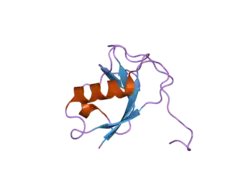 2bqq: X-ray structure of the N-terminal domain of human doublecortin