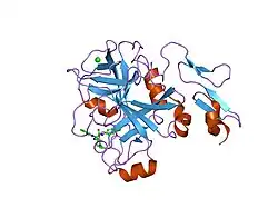 2bqw: CRYSTAL STRUCTURE OF FACTOR XA IN COMPLEX WITH COMPOUND 45