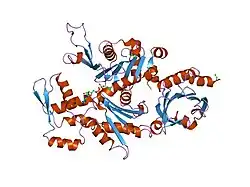 2btf: THE STRUCTURE OF CRYSTALLINE PROFILIN-BETA-ACTIN