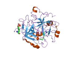 2bvr: HUMAN THROMBIN COMPLEXED WITH FRAGMENT-BASED SMALL MOLECULES OCCUPYING THE S1 POCKET