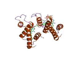 2cb8: HIGH RESOLUTION CRYSTAL STRUCTURE OF LIGANDED HUMAN L-ACBP
