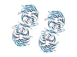 2ce9: A WRPW PEPTIDE BOUND TO THE GROUCHO-TLE WD40 DOMAIN.