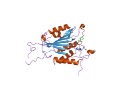 2cnl: CRYSTAL STRUCTURES OF CASPASE-3 IN COMPLEX WITH AZA-PEPTIDE EPOXIDE INHIBITORS.