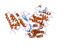 2d2z: Crystal structure of Soluble Form Of CLIC4