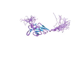 2d9c: Solution structure of the first ig-like domain of signal-regulatory protein beta-1 (SIRP-beta-1)