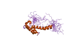 2da6: Solution structure of the homeobox domain of Hepatocyte nuclear factor 1-beta (HNF-1beta)