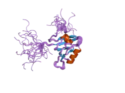 2dm8: Solution structure of the eighth PDZ domain of human InaD-like protein