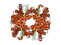 2dn2: 1.25A resolution crystal structure of human hemoglobin in the deoxy form