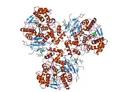 2dqz: Crystal structure of human carboxylesterase in complex with homatropine, coenzyme A, and palmitate