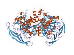 2dsb: Crystal structure of human ADP-ribose pyrophosphatase NUDT5