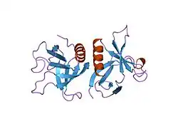 2dyn: DYNAMIN (PLECKSTRIN HOMOLOGY DOMAIN) (DYNPH)
