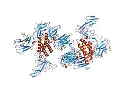 2erj: Crystal structure of the heterotrimeric interleukin-2 receptor in complex with interleukin-2