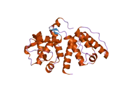 2eyi: Crystal structure of the actin-binding domain of human alpha-actinin 1 at 1.7 Angstrom resolution