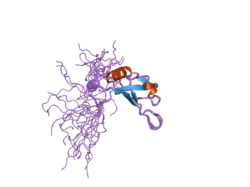 2fc9: Solution structure of the RRM_1 domain of NCL protein