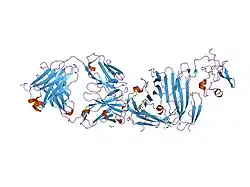 2fd6: Structure of Human Urokinase Plasminogen Activator in Complex with Urokinase Receptor and an anti-upar antibody at 1.9 A