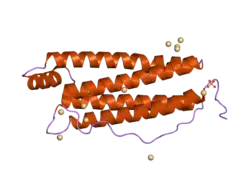 2ffx: Structure of Human Ferritin L. Chain
