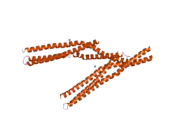 2fic: The crystal structure of the BAR domain from human Bin1/Amphiphysin II and its implications for molecular recognition