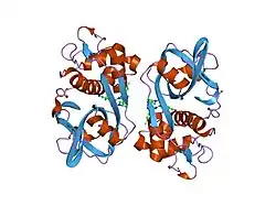 2ft2: Human Cathepsin S with Inhibitor CRA-29728
