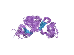 2fyj: NMR Solution structure of calcium-loaded LRP double module