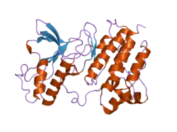 2g15: Structural Characterization of autoinhibited c-Met kinase