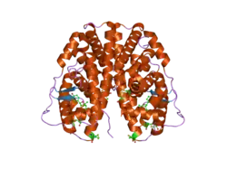 2g44: Human Estrogen Receptor Alpha Ligand-Binding Domain In Complex With OBCP-1M-G and A Glucocorticoid Receptor Interacting Protein 1 NR Box II Peptide