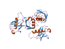 2gbm: Crystal Structure of the 35-36 8 Glycine Insertion Mutant of Ubiquitin
