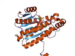 2gdz: Crystal structure of 15-hydroxyprostaglandin dehydrogenase type1, complexed with NAD+