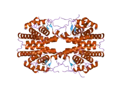 2gl8: Human Retinoic acid receptor RXR-gamma ligand-binding domain