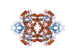 2gse: Crystal Structure of Human Dihydropyrimidinease-like 2