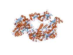 2gvg: Crystal Structure of human NMPRTase and its complex with NMN