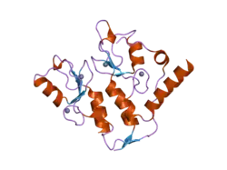 2h0d: Structure of a Bmi-1-Ring1B Polycomb group ubiquitin ligase complex