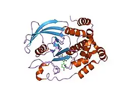 2h4g: Crystal structure of PTP1B with monocyclic thiophene inhibitor