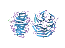 2h6n: Histone H3 recognition and presentation by the WDR5 module of the MLL1 complex