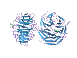 2h6q: Histone H3 recognition and presentation by the WDR5 module of the MLL1 complex