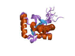 2htf: The solution structure of the BRCT domain from human polymerase reveals homology with the TdT BRCT domain