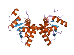 2hwy: Structure of PIN domain of human SMG5.