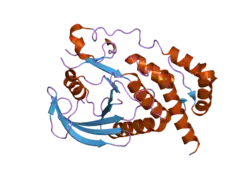 2i3u: Structural studies of protein tyrosine phosphatase beta catalytic domain in complex with inhibitors