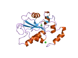 2ifv: Crystal structure of an active site mutant, C473D, of CDC25B phosphatase catalytic domain