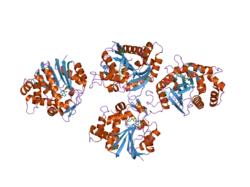 2iip: Human Nicotinamide N-methyltransferase