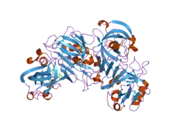 2iko: Crystal Structure of Human Renin Complexed with Inhibitor