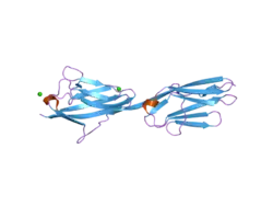 2ill: Anomalous substructure of Titin-A168169