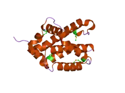 2ims: The X-ray Structure of a Bak Homodimer Reveals an Inhibitory Zinc Binding Site