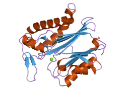 2iq1: Crystal structure of human PPM1K