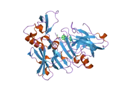2is0: Crystal structure of human Beta-secretase complexed with inhibitor